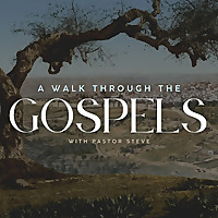 A Walk Through the Gospels With Pastor Steve