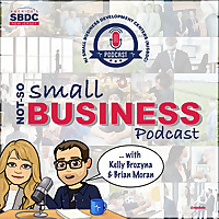 The Not-So-Small-Business Podcast