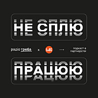 Не сплю, працюю