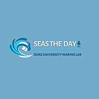 Seas The Day