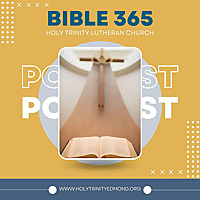 Bible 365