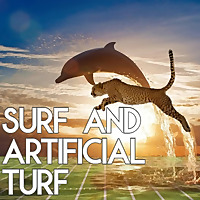 Surf and Artificial Turf