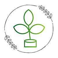 The Seed Community Church