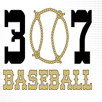 307 Baseball