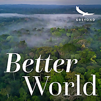 Better World