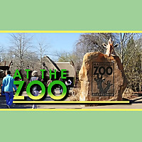 At the Zoo