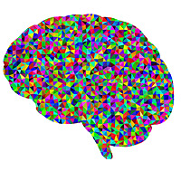 Neurology for Vets and Pets