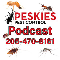 Peskies Pest Control Birmingham Alabama Podcast