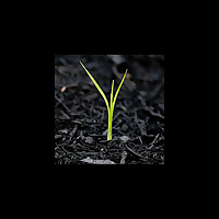 Rocky Mount Baptist Church - Sermon Audio