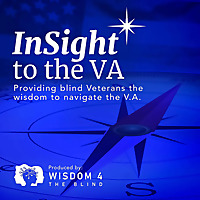InSight To The VA
