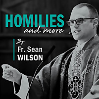 Homilies and More By Fr. Sean Wilson