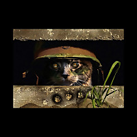 Gaming on the Frontier