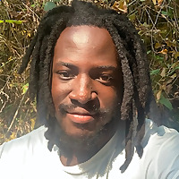 Jarvis Kingston