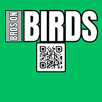 Bros on Birds