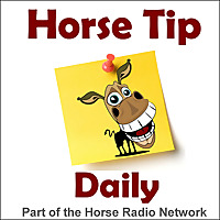 Horse Tip Daily