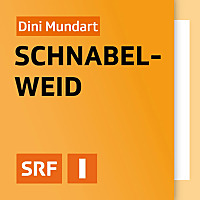 Dini Mundart - Schnabelweid