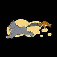 Jasmine and Gracie Explore the USA, the World, and Beyond!!