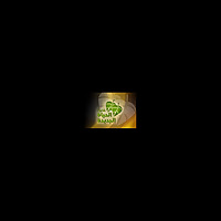 New Life Ministry Egypt