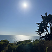 THE PSYCHEDELIC PORTAL