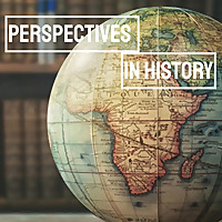 Perspectives in History