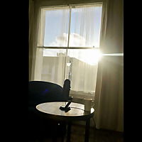 First Impressions: Thinking Aloud About Film