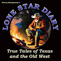Lone Star Diary