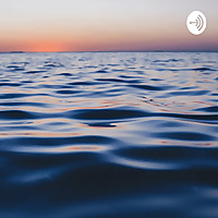 Shallow Dive Daf Yomi