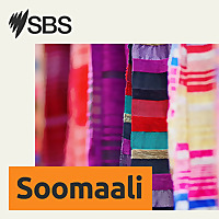 SBS Somali - SBS Afsomali