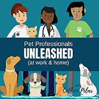 UNLEASHED (at work & home) with Colleen Pelar