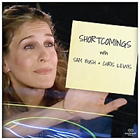 Shortcomings