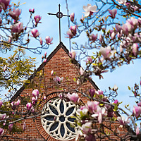 Sermons from St. Edmund's