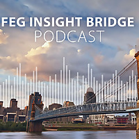 FEG Insight Bridge
