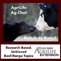 Texas A&M AgriLife Ranch to Retail