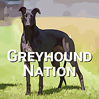 Greyhound Nation