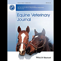 Equine Veterinary Journal Podcasts