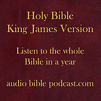 ABP - King James Version - One Hour A Day - January Start