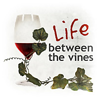 Life Between the Vines