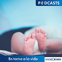 En torno a la vida