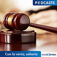 Con la venia, señoría