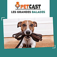 Les grandes balades ??