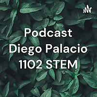 Podcast Diego Palacio 1102 STEM
