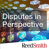 Disputes in Perspective