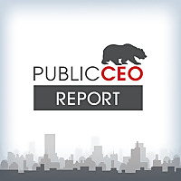 PublicCEO Report