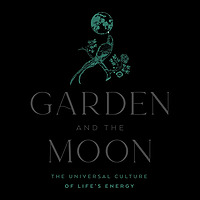 Garden and the Moon