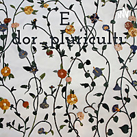 Ecuador_pluricultural