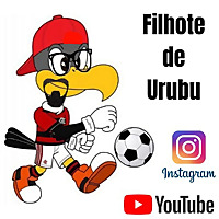 Filhote de Urubu