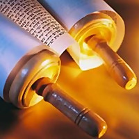 Reflexión De Tora (Suri Cattan)