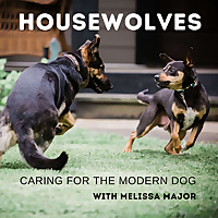 Housewolves: The Pet Dog Collective