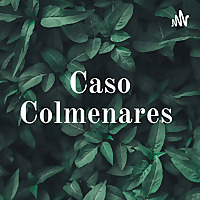 Caso Colmenares