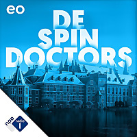 De Spindoctors